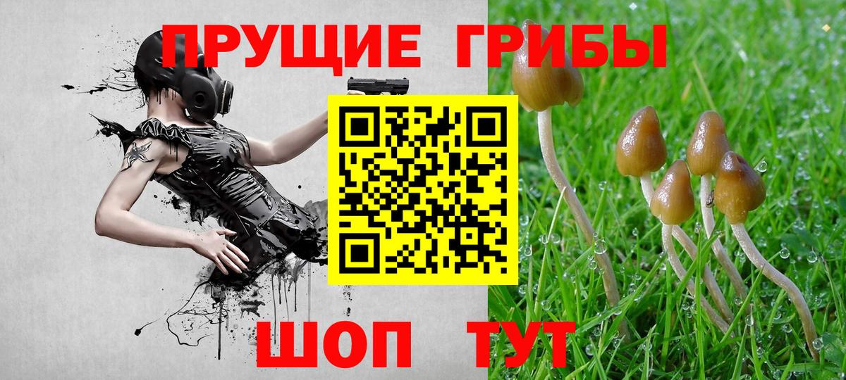 Галлюциногенные грибы Magic Shrooms Троицк