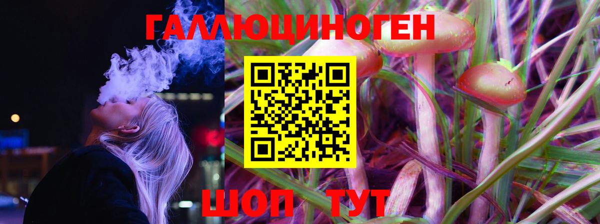 Троицк  Галлюциногенные грибы Psilocybe  Вход с VPN 